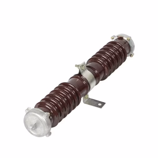 Rxwo/RW 35kv 600/2000mva 28ka 송전선 0.5용 실외 고전압 퓨즈