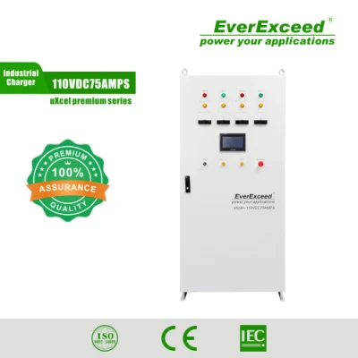 RoHS 승인 400V Everexceed 자동차 충전기 산업용 배터리 충전기