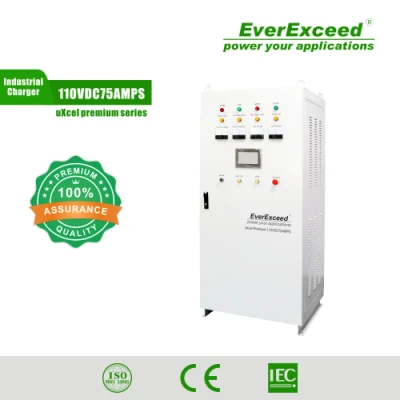 표준 그리드/PV Everexceed 1상 또는 3상 변전소 배터리 충전기 제조업체