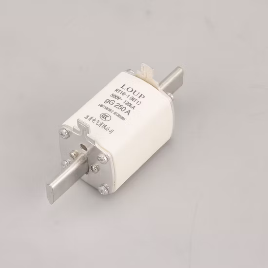 Nh 시리즈 이중 표시기 퓨즈 4